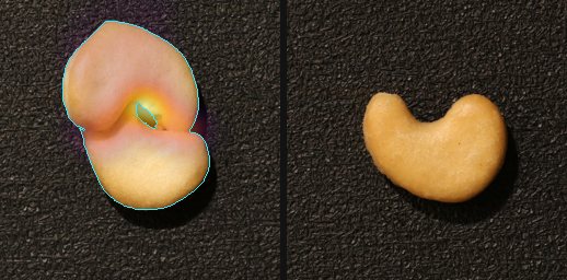 cashew: detected defect heatmap and a good part
